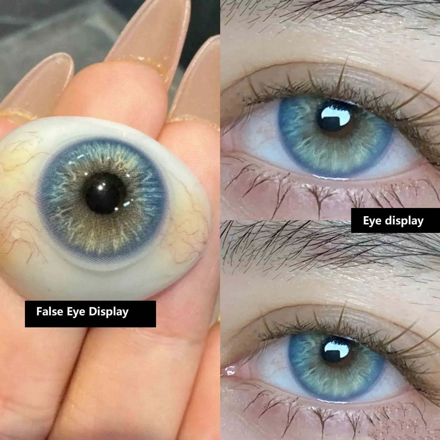 [New] Blue Bird | 1 Year [Prescription]